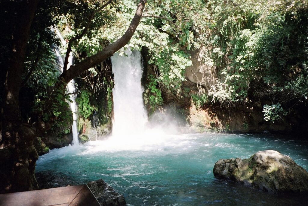 Waterfall between trees plunging into a turquoise pool